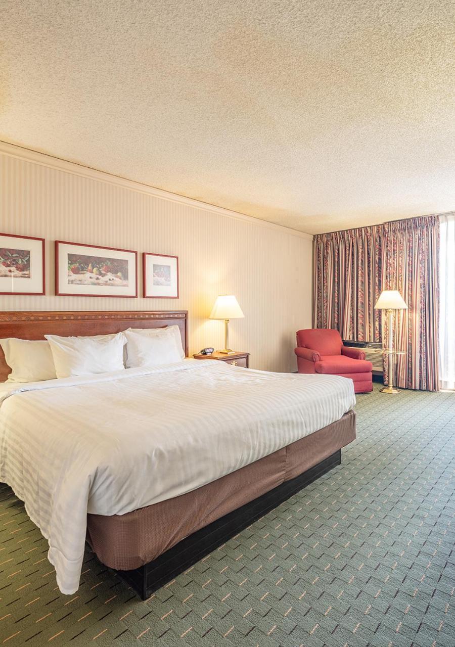 Standard King Room
